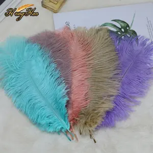 शादी के कार्निवल उत्सव के लिए थोक 30-35 सेमी प्राकृतिक बहु-रंगे रंगीन शुतुरमुर्ग पंख बेर