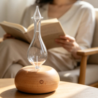 Diffuseur d'huiles essentielles sans eau, nébuliseur de parfum, diffuseur d'aromathérapie électrique