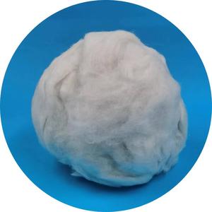 Fibre di Canapa Naturali 3.2D*32MM Adatte per Applicazioni Tecniche e Tessili per Forniture Sanitarie e Materiale da Letto - Product Image 1