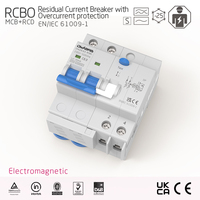 Interruptor Diferencial RCBO 2P 63A, Cobre, Capacidad de Interrupción 10kA, Tipo Electromagnético AC, Uso Industrial y Doméstico