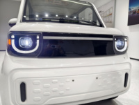 Voiture électrique homologuée E-mark, voiture neuve de luxe bon marché, voiture micro à vitesse lente, batterie au plomb-acide conforme aux normes européennes, conduite à gauche