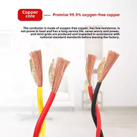 Câble torsadé en cuivre pur PVC 12 AWG 300V ignifuge NH-RVS, 2 conducteurs, 1 plat 2,5 mm² - Vente en gros usine Jinwancheng