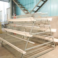 Élevage de volailles 1000 Dimension de poulet Couche de maille en acier automatique Cage de poulet Conception de système de ferme Élevage de batterie