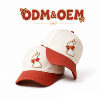 Casquette de baseball unisexe personnalisée avec patch lapin mignon, en coton, taille ajustable, visière incurvée, pour le sport – Vente en gros
