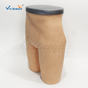 Modelo Avanzado de Inyección Intramuscular en la Cadera con Anatomía Removible para Recursos de Enseñanza de Habilidades de Enfermería, Certificaciones CE, ISO, ROHS, CNAS, SGS, Directo de Fábrica - Product Image 3