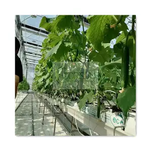 温室西红柿植物滴水种植花盆花园环保可可泥炭种植袋花盆