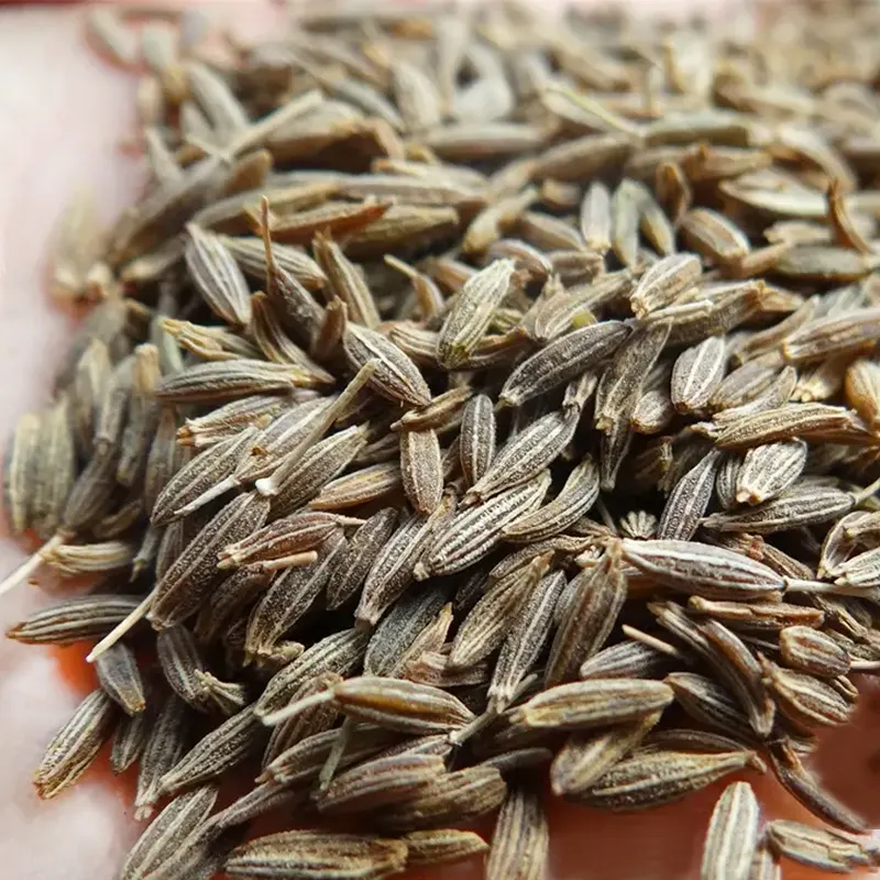 220 g/bouteille graines de cumin graines de cumin séchées prix de gros épice unique