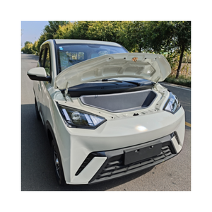 Nouvelle énergie adulte électrique 1500W voiture familiale à quatre roues pour les personnes âgées Scooter gaz-électrique double usage voiture entièrement fermée - Product Image 1