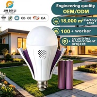 Ampoule LED d'urgence avec deux batteries rechargeables amovibles, alimentation AC/DC, éclairage d'urgence pour jardin