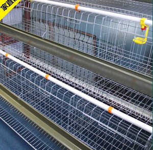 Gia Cầm Farming Thiết Bị Tự Động Một Loại Pin Đẻ Gà Mái Lồng - Product Image 2