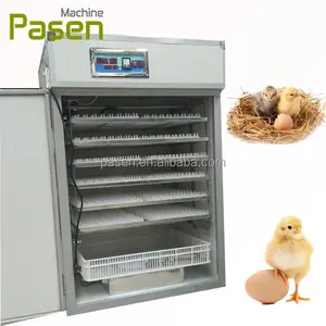 Big Capacity Sale Ostrich Egg Incubator Hatching Chicks