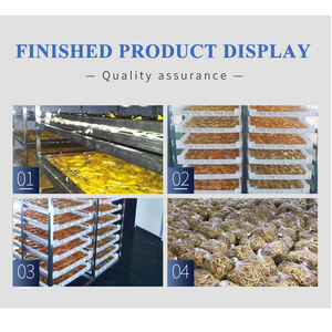 Secador de mango de patatas fritas TCA Industrial, rebanador de limón, máquina de secado de chips de fruta, el <span class=keywords><strong>mejor</strong></span> <span class=keywords><strong>precio</strong></span> - Product Image 5