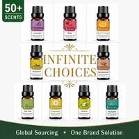 100% Minyak Esensial Alami Murni Set 50 Aroma Lavender Mawar Tea Tree Eucalyptus Peppermint Aromaterapi Diffuser OEM Kustom