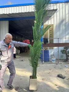 Árvore de Oliveira Artificial Personalizada de 1,8m, Multi-Tamanhos, Verde Escuro para Decoração de Casa e Hotel - Product Image 4