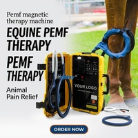 Physiothérapie équine avec certificat CE et médical, champ électromagnétique pulsé pour le corps du cheval, pour soulager la douleur