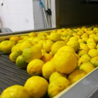 Ligne de production de machines d'extraction d'huiles essentielles automatiques ou semi-automatiques, machine à jus de citron et d'orange
