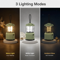 Haut-parleur de camping avec lumière LED 5W, mini lampe de chevet portable en plastique, lumière LED colorée, lampe de chevet, haut-parleur