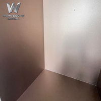 Niche de douche encastrée en acier inoxydable pour rangement de salle de bain, sans carrelage, couleur or champagne