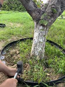 XHY XHY5510 Usine Herbe Pierre Ceintures D'isolation Jardin Aménagement Paysager Bord Épaississement En Forme De L HDPE Matériel 10m Rouleau - Product Image 6