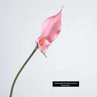 Handgefertigte Plastik-Realistische Doppelblatt-Calla-Lilie Alocasia Künstliche Blume Heimdekoration Chinesischer Stil Hochzeitsornamente