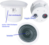 CL-308B 8 pouces plafond haut-parleur coaxial fer son système de sonorisation haut-parleur vente directe d'usine