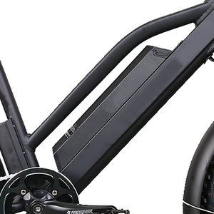 Vélo <span class=keywords><strong>électrique</strong></span> <span class=keywords><strong>2022</strong></span> 48V 750W, pneus larges 20 pouces, prix le <span class=keywords><strong>meilleur</strong></span> prix - Product Image 6