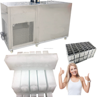 Panneau solaire transparent à refroidissement direct Bloc de briques de glace utilisé de 2 tonnes Prix de la machine en Allemagne avec le Nigeria