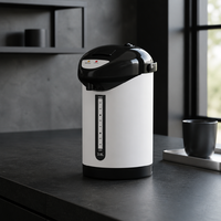 Distributeur d'eau chaude électrique 3L en acier inoxydable avec fonction de maintien au chaud pour la consommation quotidienne à la maison