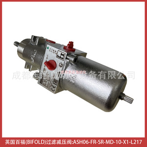 Vanne de réduction de pression à filtre double pliante Ash06-Fr-Sr-Md-10-X1-L217 1/2 pouce pour gaz et pneumatique - Product Image 1