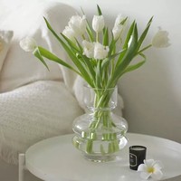 Vase en verre soufflé à la main, artistique, à dégradé, à col étroit, pour fleurs hydroponiques, transparent, moderne, minimaliste, centre de table créatif
