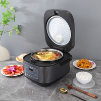Olla Arrocera Automática de 4L/5L de Diseño Nuevo al por Mayor, Olla Inteligente de Acero Inoxidable con Control Digital de Temporizador, Multiusos y Ecológica