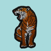 Patch brodé personnalisé en forme de papillon, coloré, à thermocoller ou à coudre, pour vêtements, sacs, chapeaux