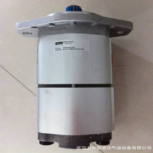 Bomba de engranajes Parker G5-5-A15R-20R, bomba hidráulica de 1 etapa con montaje de brida, bomba de refuerzo de eje vertical con accionamiento eléctrico - Product Image 2