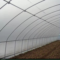Serre de serre commerciale agricole de bonne qualité et facile à installer