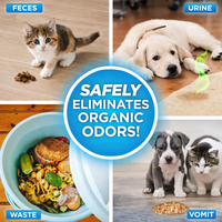Spray Éliminateur d'Odeurs d'Animaux, Enzymatique, Anti-Urine de Chien pour Tapis, Canapé, Tissu, Désodorisant Sûr pour Animaux, Marque Privée OEM
