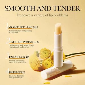 Bálsamo Labial Nutritivo <span class=keywords><strong>BIOAQUA</strong></span> Precio de Fábrica OEM, Bálsamo Labial Humectante de Miel, Cuidado Labial Herbal Natural Anti-Agrietamiento - Product Image 4
