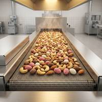 Machine de torréfaction commerciale automatique à convoyeur continu pour la production de cacahuètes, de noix de cajou et d'amandes