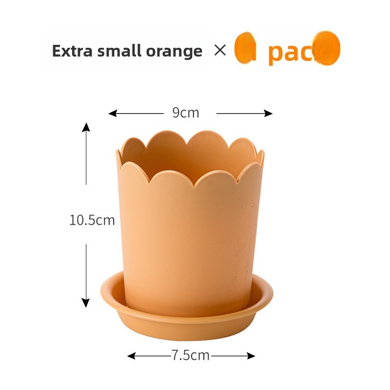 Naranja (tamaño extra pequeño) + base