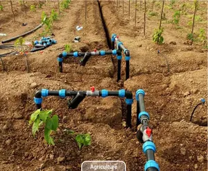 Ondergrond Drip Tape Druppelirrigatie Tape Een Hectare Irrigatiesysteem Ontwerp