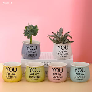 Pots de jardinières succulentes Cactus en céramique, décor de bureau, lettres personnalisées d'intérieur, Pots avec trou - Product Image 1