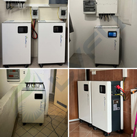 Batería de Litio para Almacenamiento de Energía Doméstica LVFU Solar de 5kWh, 10kWh, 15kWh, Batería Híbrida para Red Eléctrica de China de 100Ah, 200Ah, 48V, 300Ah