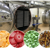 Automatische industriële vacuüm-vriesdroger fabriekslevering grote capaciteit voedseldroogmachine voor zeevruchten, fruit en groenten