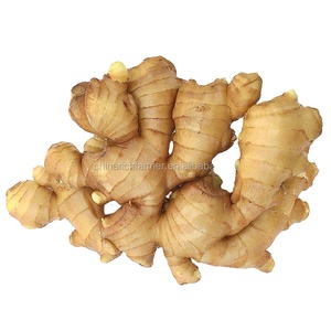 2025 fresco a buon mercato pungente e delizioso fornitori della cina di alta qualità zenzero prezzo all'ingrosso - Product Image 1