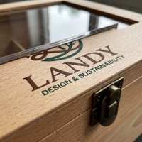 Boîte de rangement pour sachets de thé en bois gravé, écologique, de luxe, Landy, 24 compartiments, couvercle transparent, grande capacité