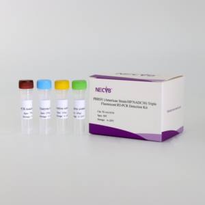 Kit Triple neon RT - PCR untuk ketegangan Amerika PRRSV, <span class=keywords><strong>HP</strong></span> - PRRSV & NADC30 - Product Image 1
