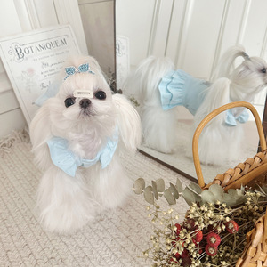 Vestidos de Princesa para Perros y Gatos, de Algodón Puro, con Lentejuelas de Mariposa, Mangas con Volantes, para Primavera y Otoño, Directo de Fábrica - Product Image 3