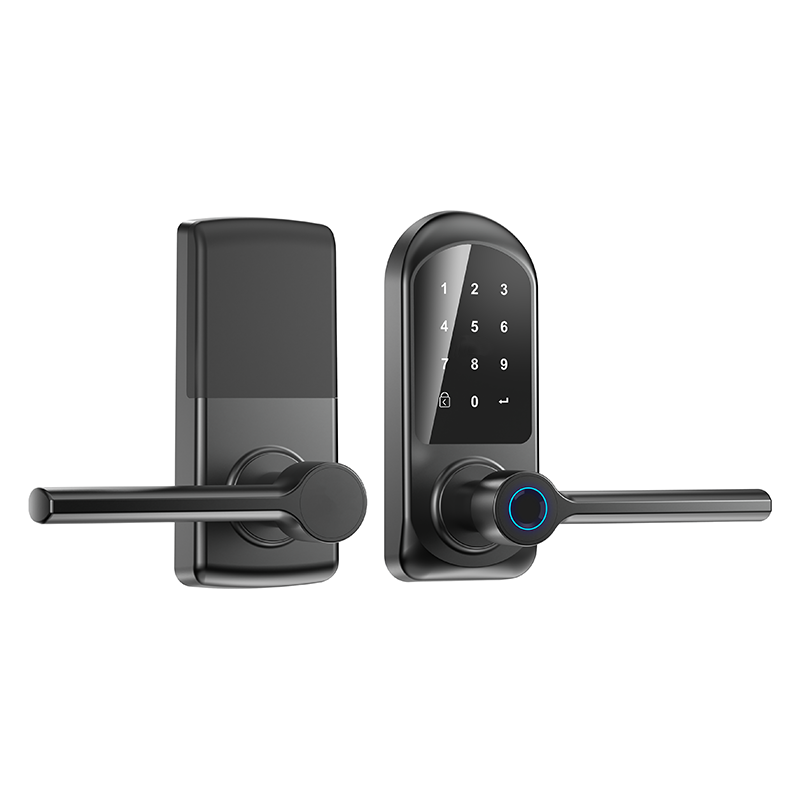 AL63 Fingerprint Password Key 100+