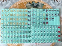 En stock – Ensemble de mahjong américain moderne de luxe en acrylique sculpté, pliable et portable, 160 pièces, avec vue sur le lac et motifs floraux