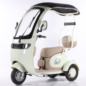 Triciclo eléctrico de 3 ruedas fabricado en fábrica china para transporte de carga y pasajeros - Product Image 4