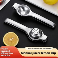 Pabrik Dingyong OEM/ODM Alat Peras Lemon Stainless Steel Portabel Besar Berkualitas Makanan, Desain Peras Buah Manual yang Tebal untuk Dapur